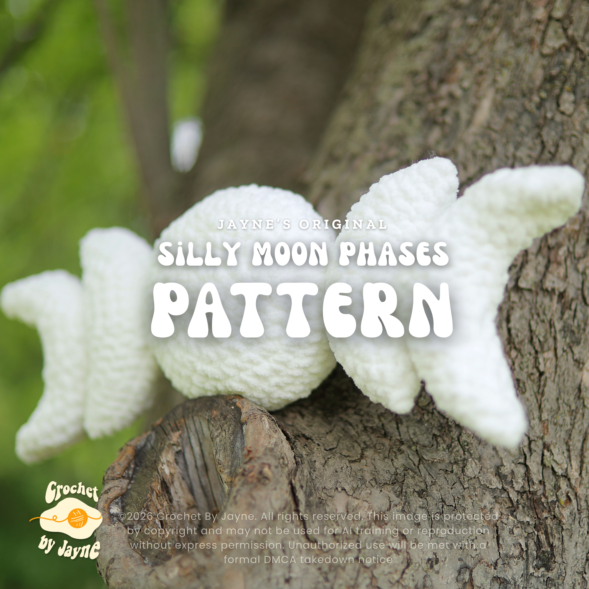 Silly Moon Phases Crochet Pattern (With a pocket)