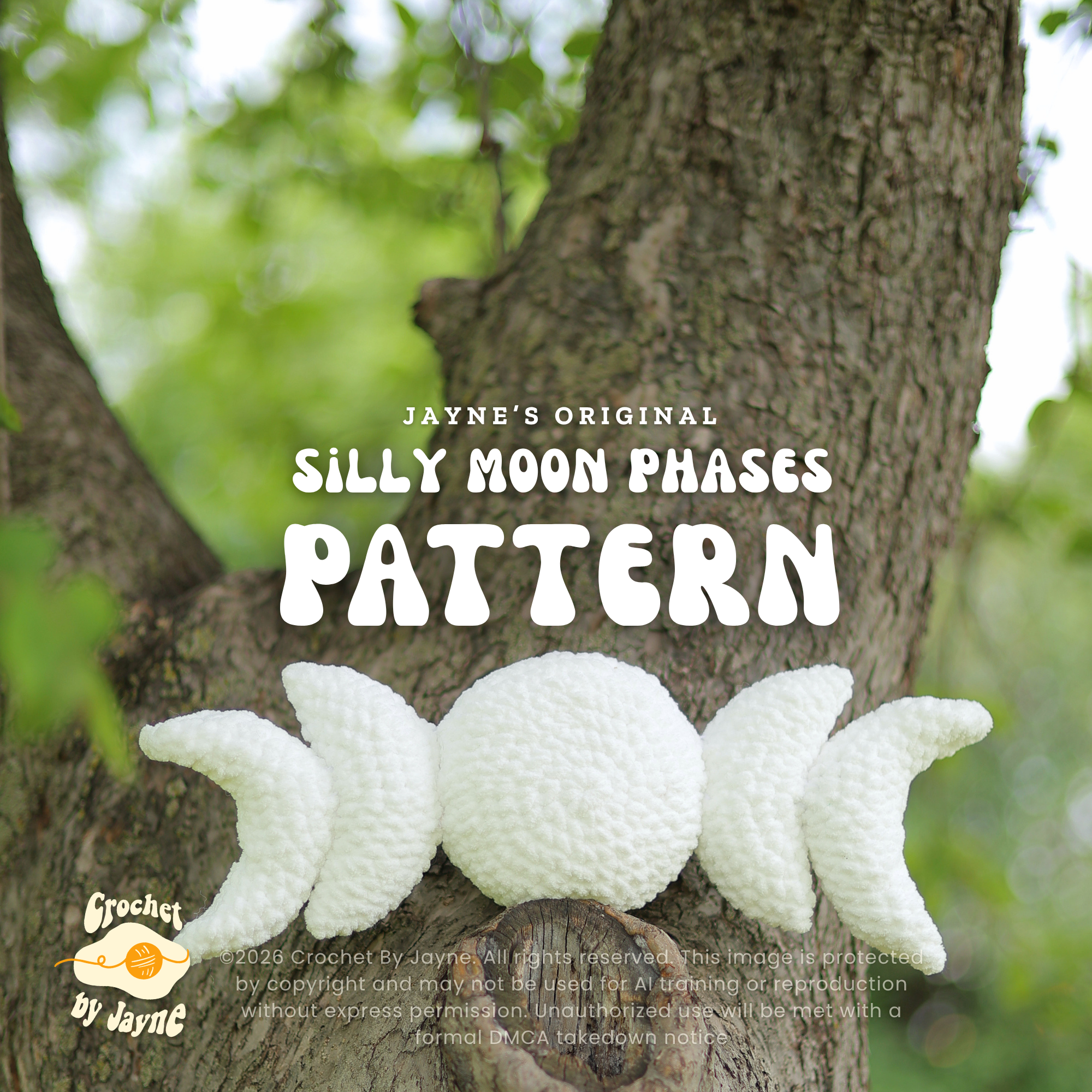 Silly Moon Phases Crochet Pattern (With a pocket)